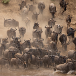 Serengeti National Park